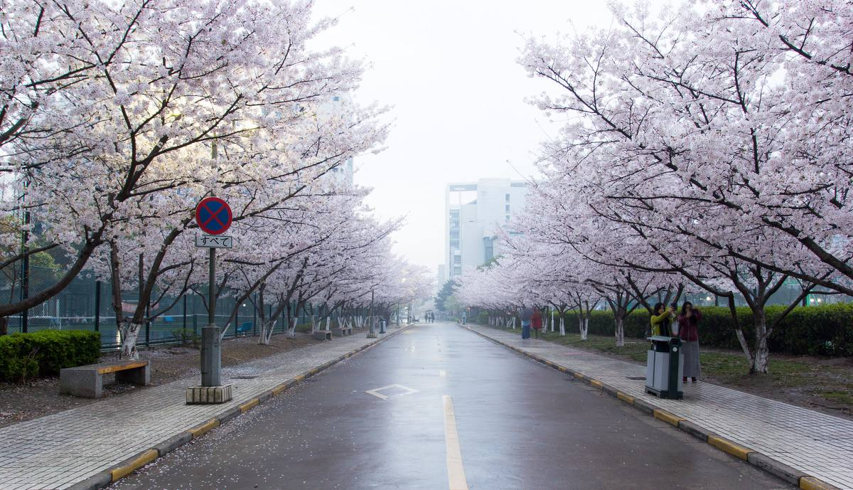 微信图片_20200812162459.jpg