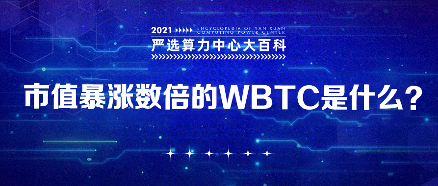 市值暴涨数倍的WBTC是什么？——严选矿场大百科